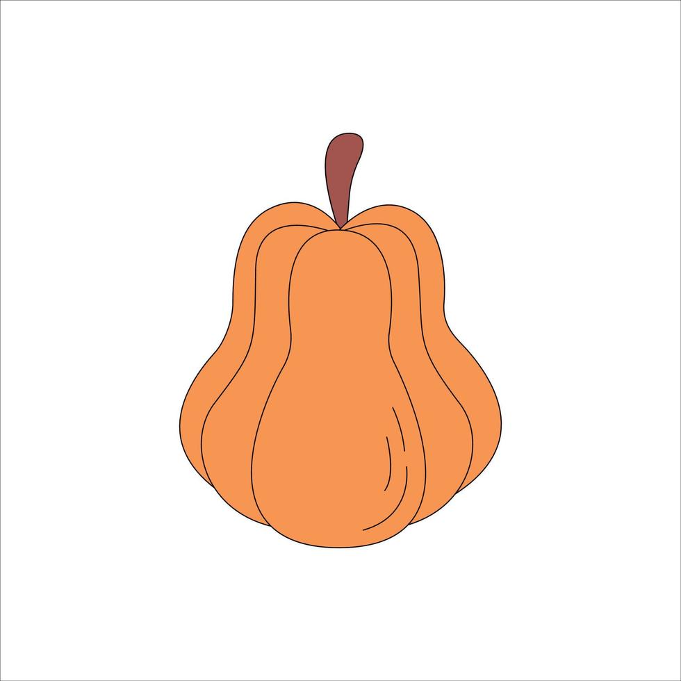 Pumpkin - squash for Halloween or Thanksgiving flat vector color icon for apps and websites. Orange vegetable