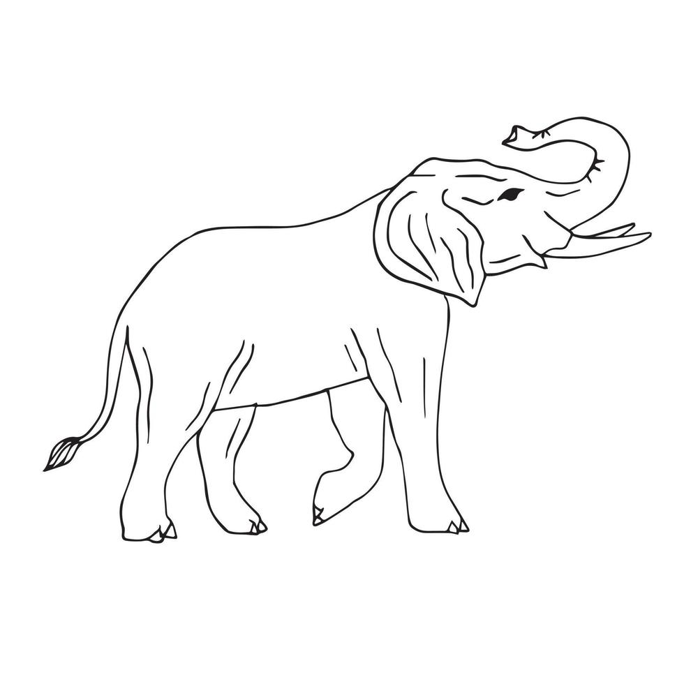 Vector flat hand drawn outline elephant