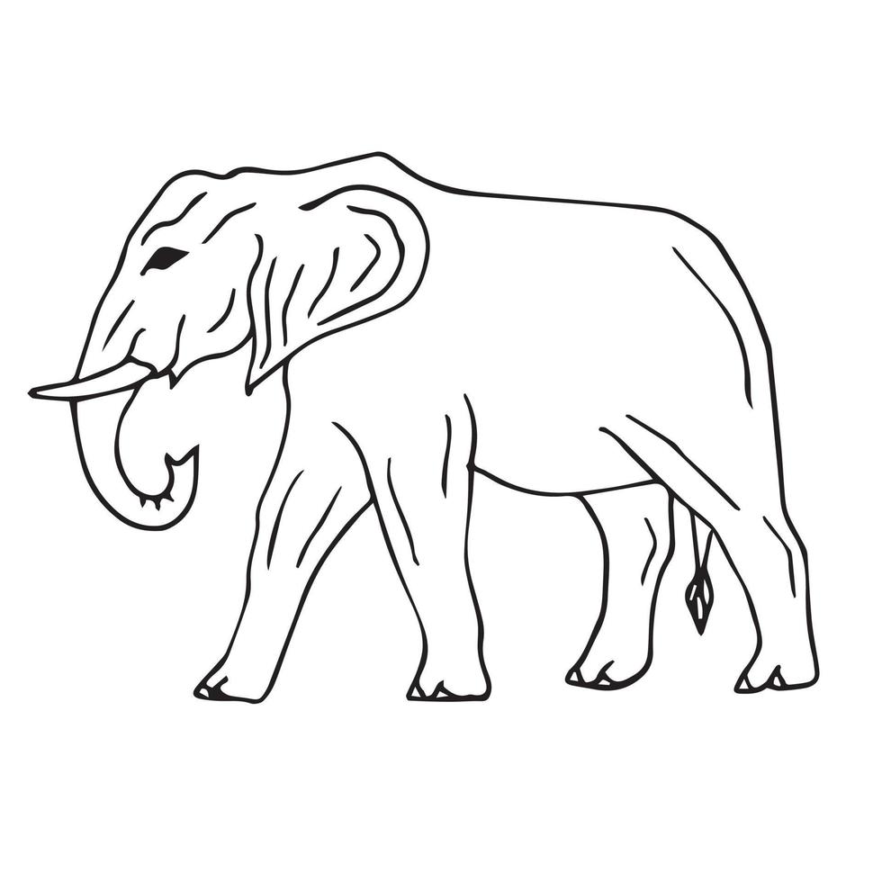 Vector flat hand drawn outline elephant