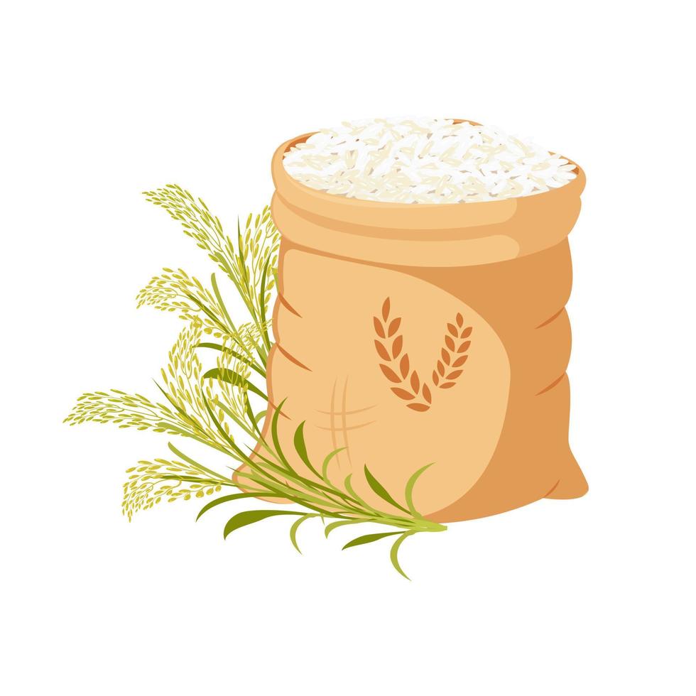 Canvas bag filled with rice groats. Grain harvest with green branches and ears. vector