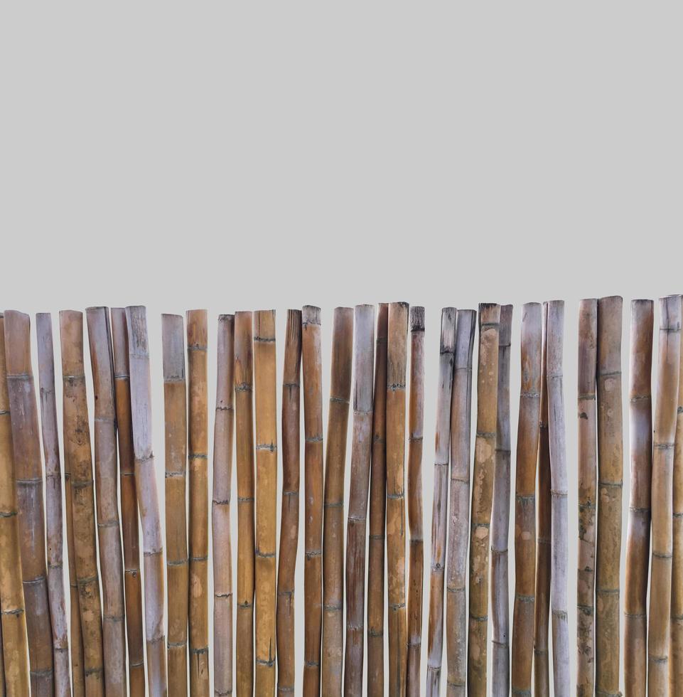 Isolated dried thyrsostachys siamensis segment with clipping paths. photo
