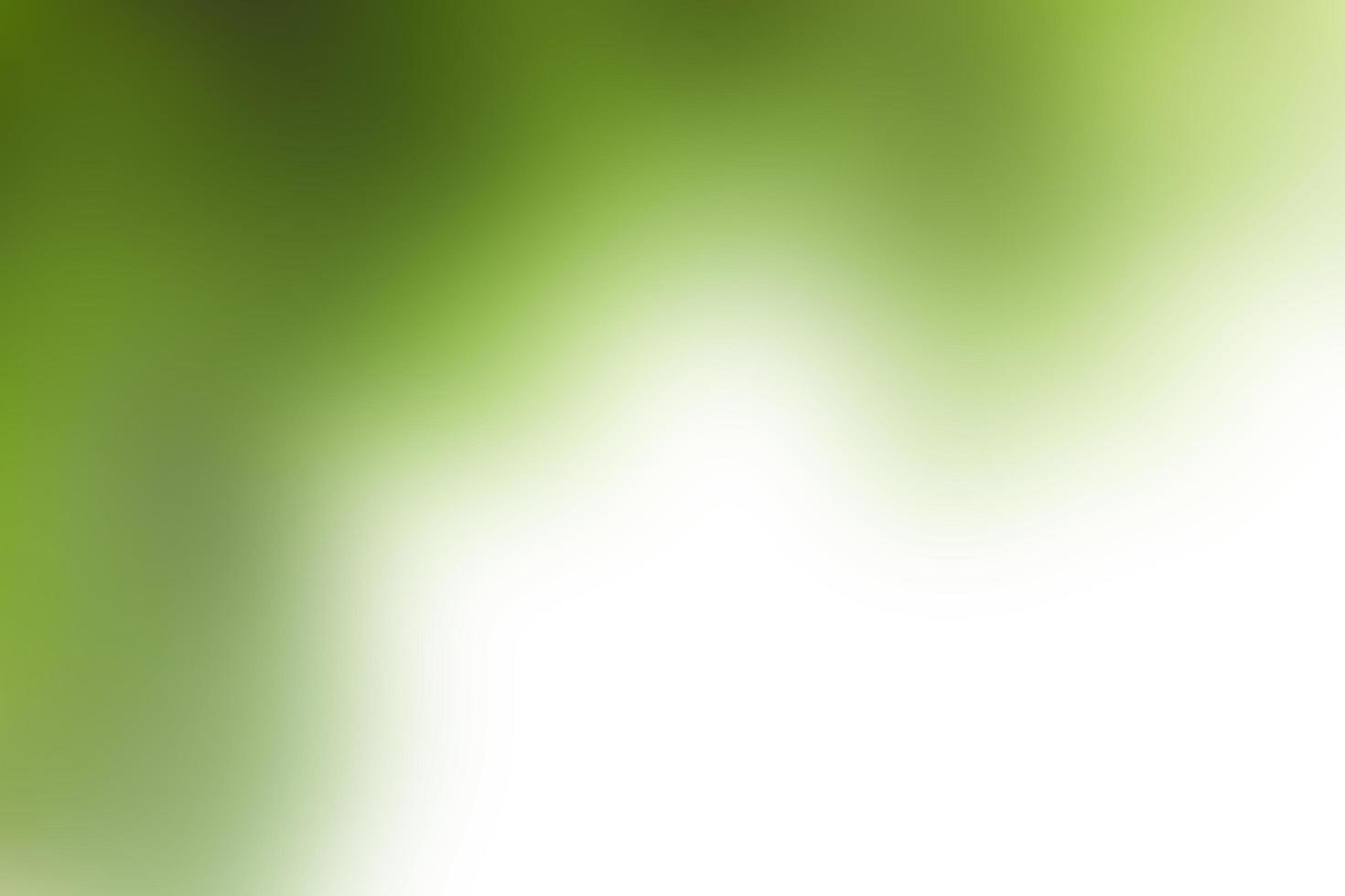 Blurred image of green leaf background. photo