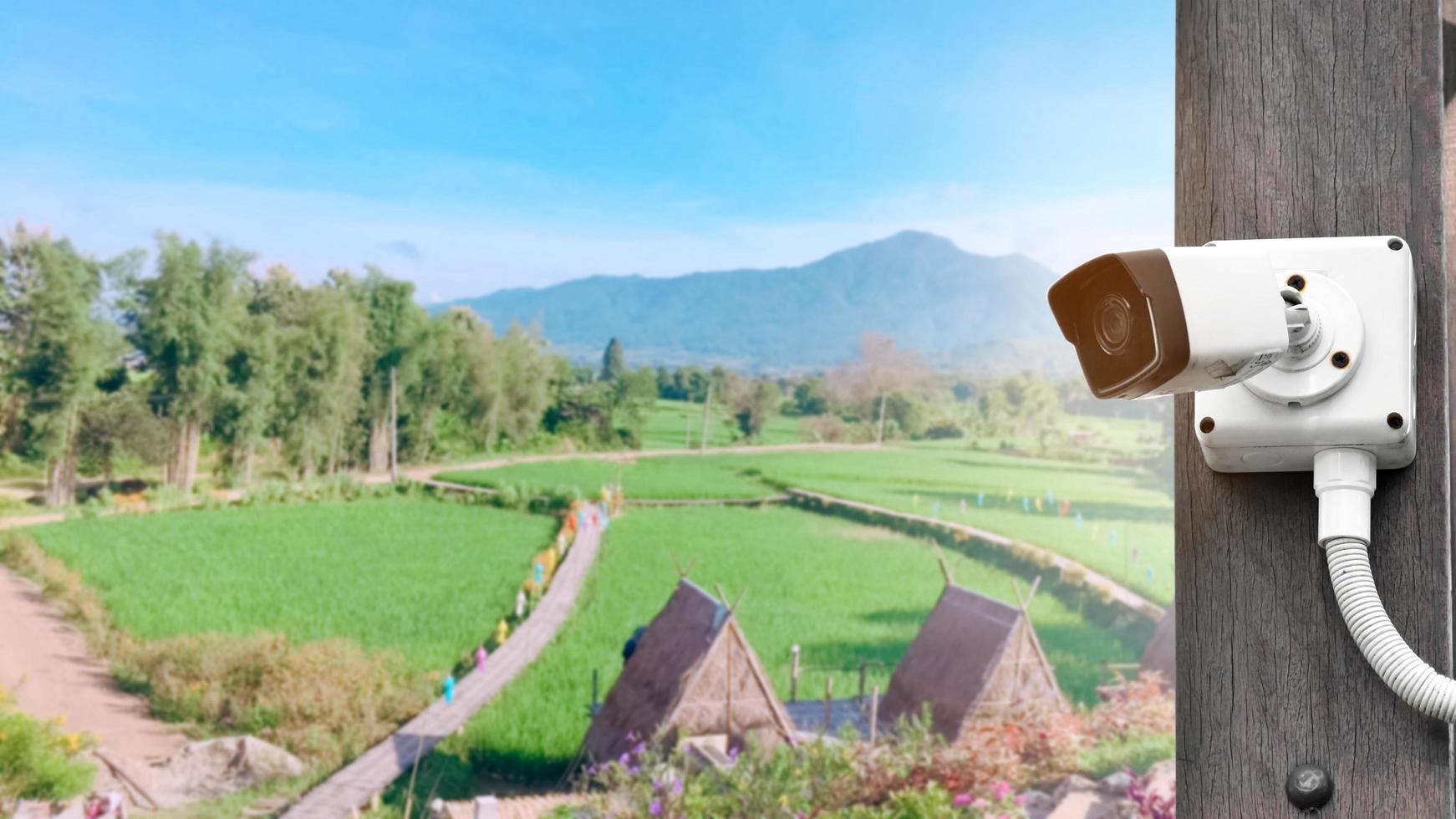 ip cctv camera installed on wooden pole, soft and selective focus, rice paddy field, guest houses and mountain background, concept for using ip cctv camera to monitor or to do the security. photo