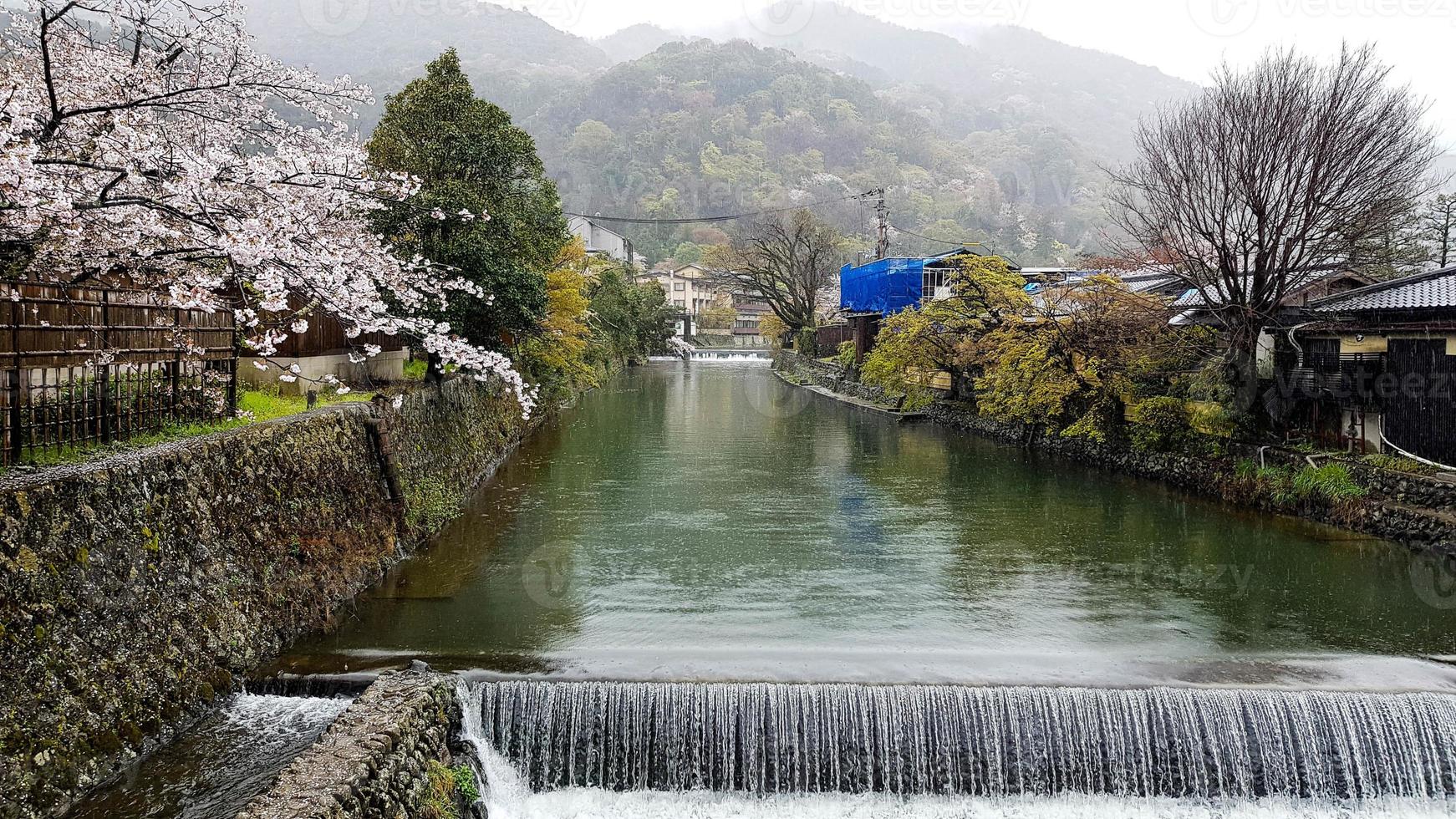 Beautiful cherry blossoms on the edge of Hozu, which is at the foot of the Arashiyama mountains. With a small flowing waterfall. photo