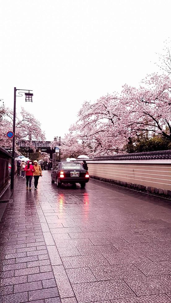 Kioto, Japón el 8 de abril de 2019. La gente camina mientras usa paraguas porque está lloviendo. foto