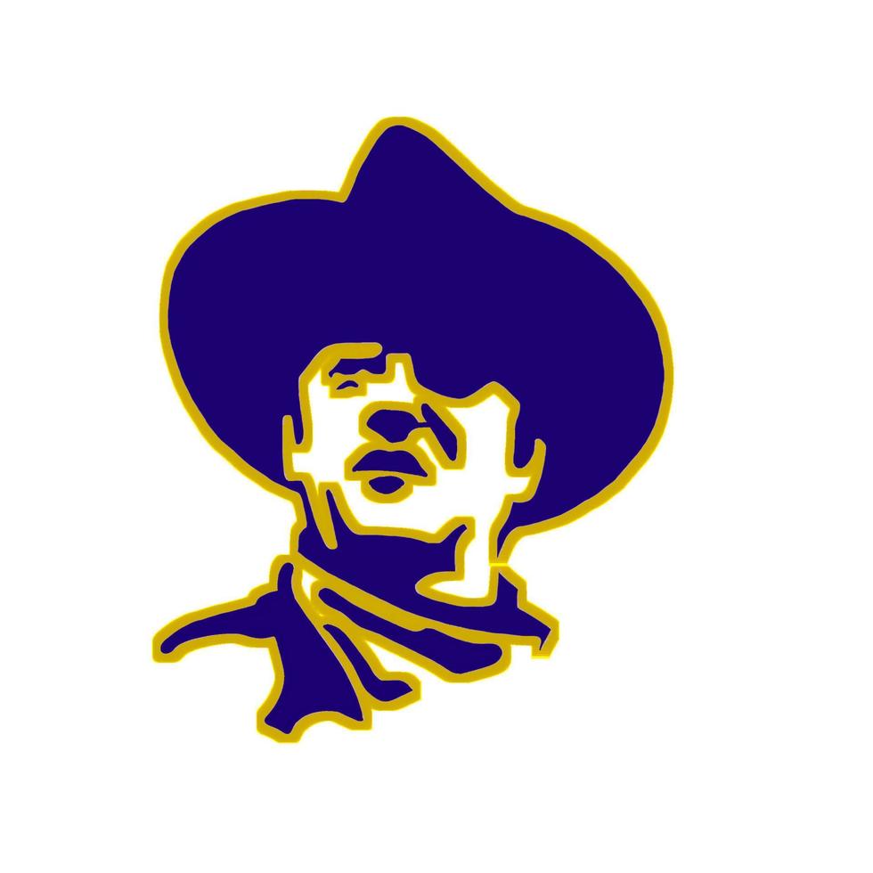 cowboy hat illustration vector