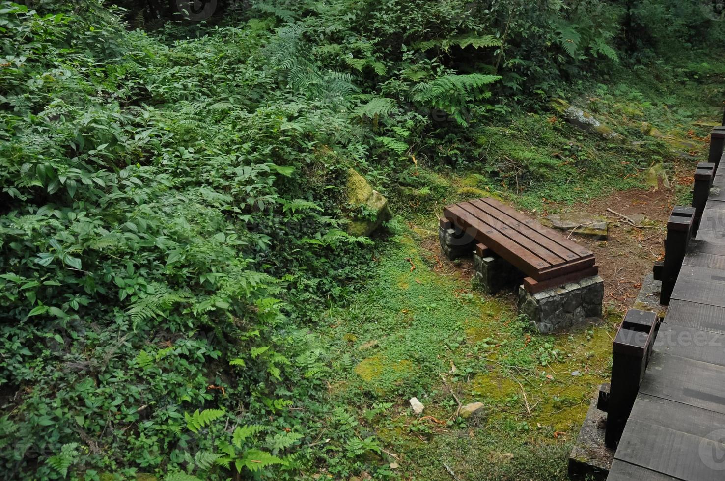 Peaceful time to rest on a bench in scenic natural park photo