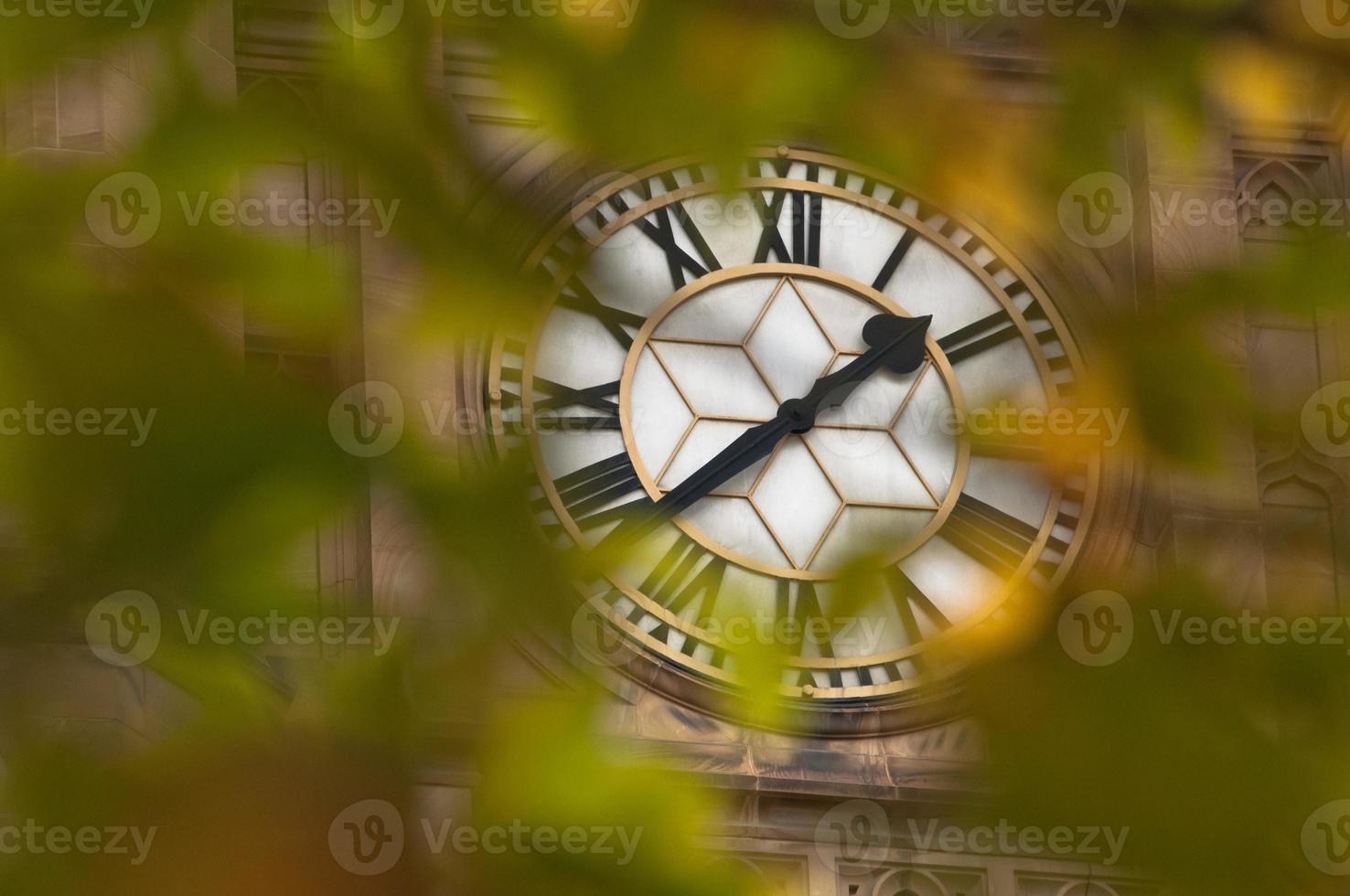 Big antique clock through maple leaves photo