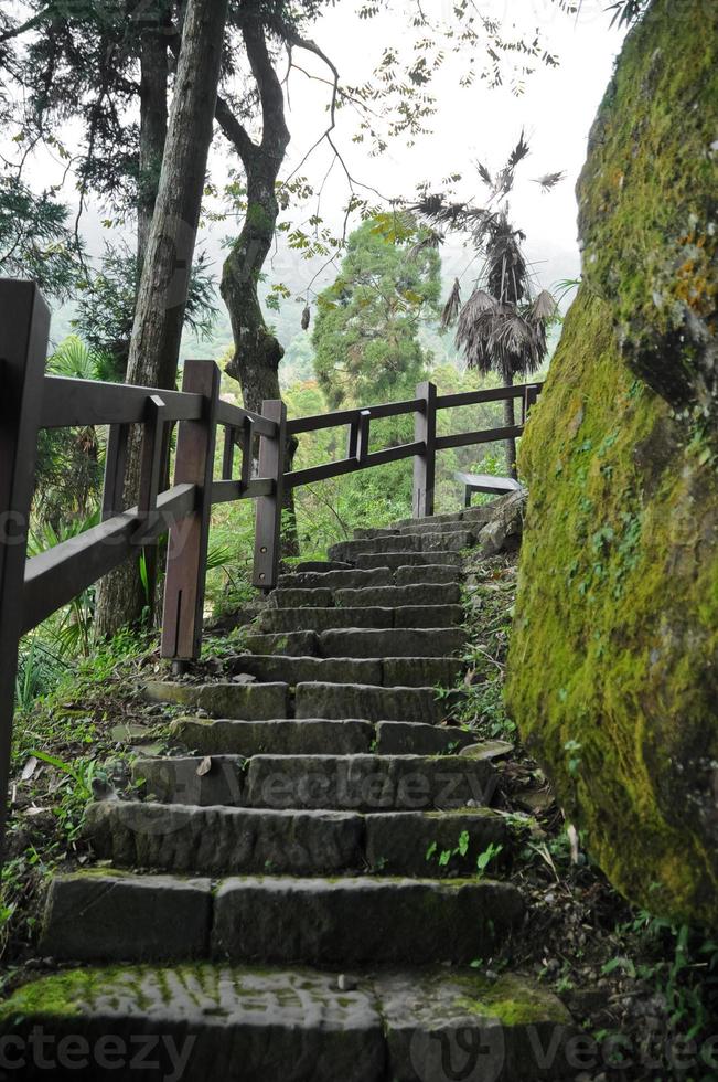 Humid and damp old stair climbing steps in deep forest photo