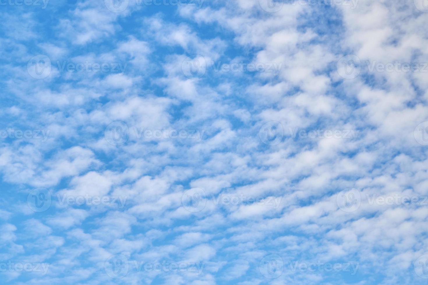 Natural background of cirrus clouds on a blue sky. photo