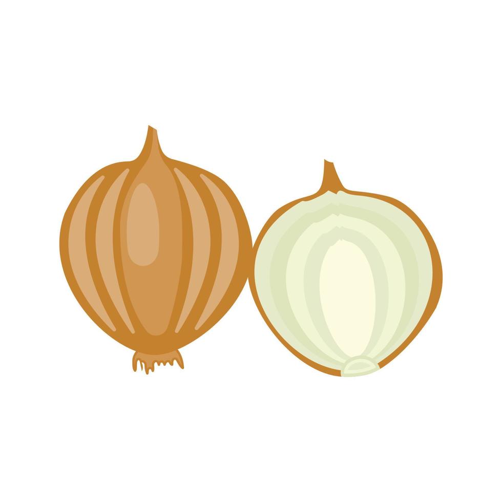 Onion vector whole and half. The concept of healthy food and fresh vegetables. On a white background, there is an isolated illustration.