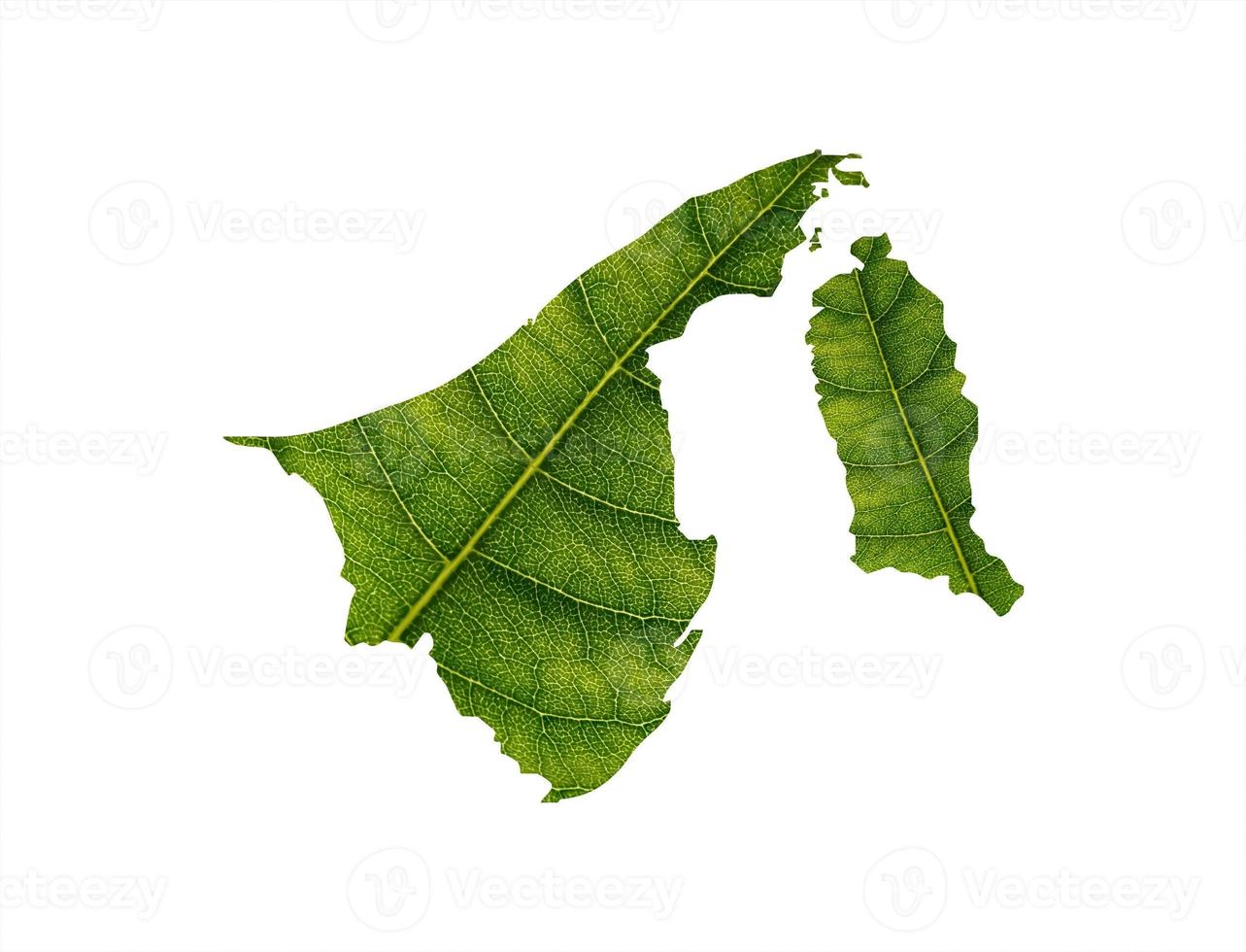 Brunei map made of green leaves on soil background ecology concept photo