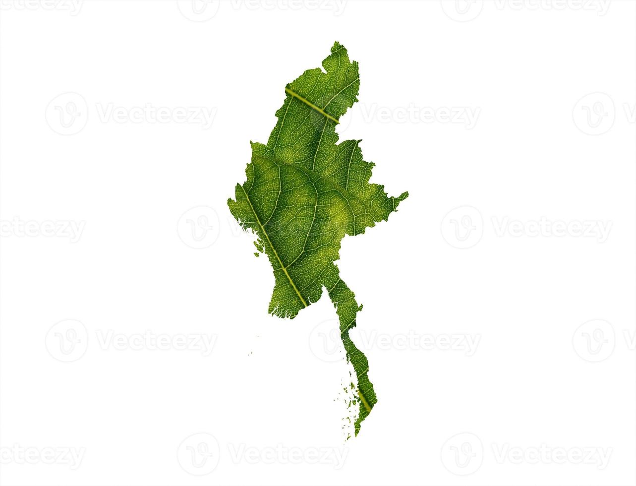 Myanmar map made of green leaves on White background ecology concept photo
