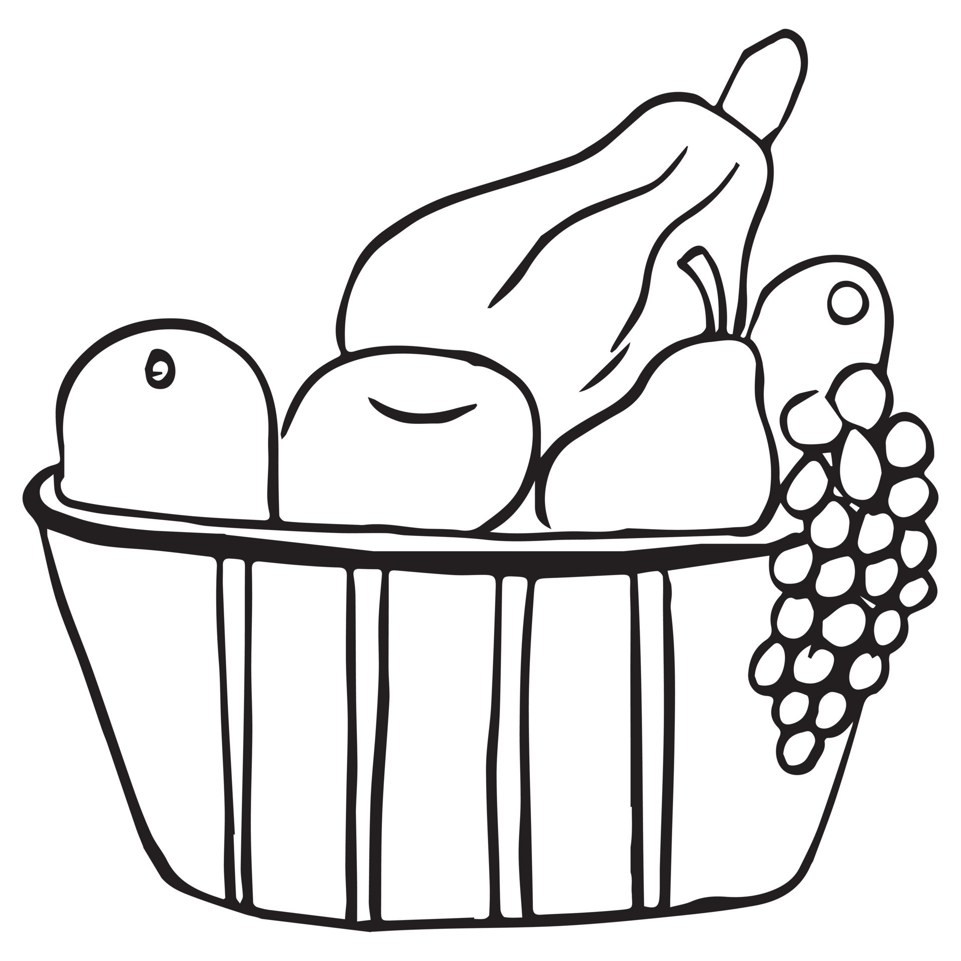 Fruit Basket Coloring Page For Kids, Vector illustration EPS And Image