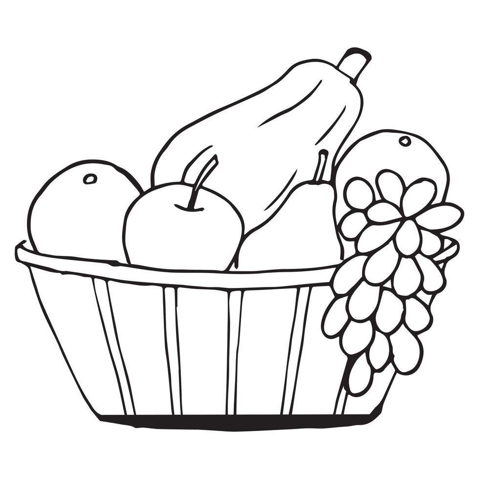 Fruit Basket Coloring Page For Kids Vector illustration EPS And Image