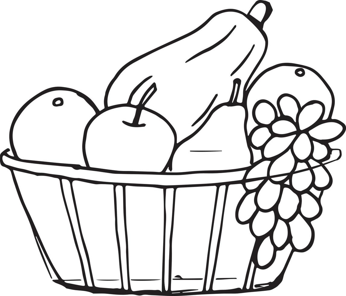 cesta de frutas para colorear página para niños, ilustración vectorial eps  e imagen 11880847 Vector en Vecteezy