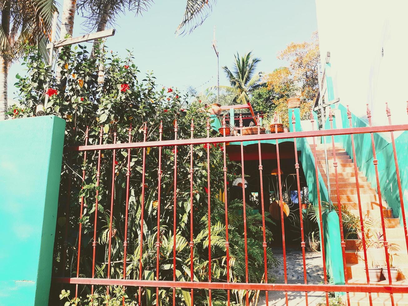 Orange Tropical Gate photo