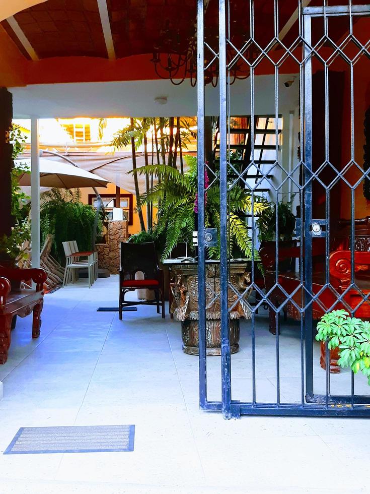 Tropical Patio Boho Chic Vibes photo