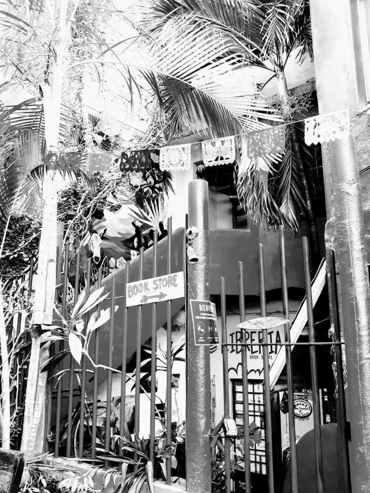 Mexican banner tropical scene photo