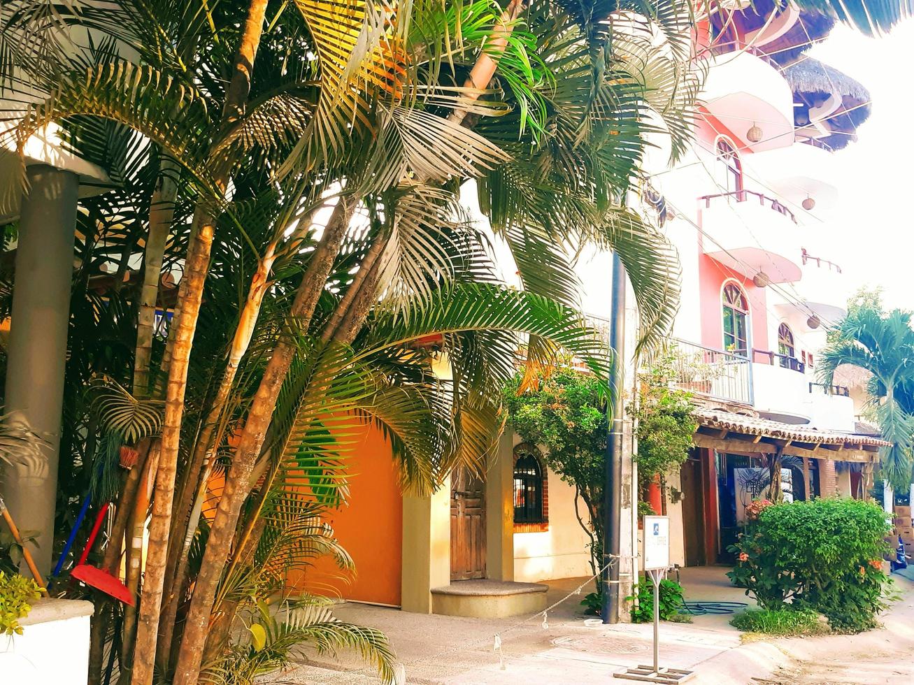 Tropical Streetscape Scenes photo
