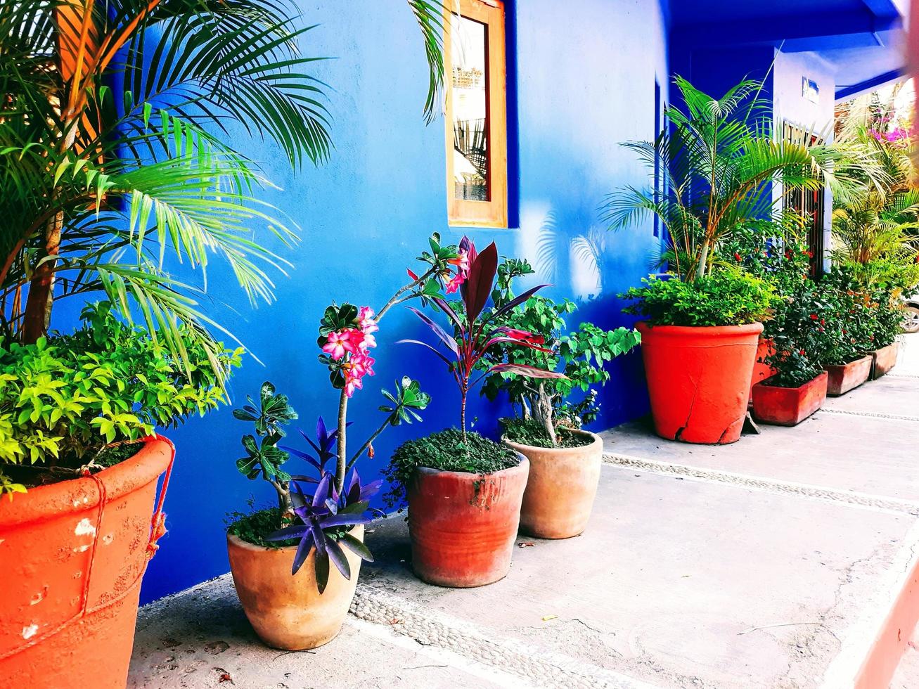 Tropical Streetscape Scenes photo