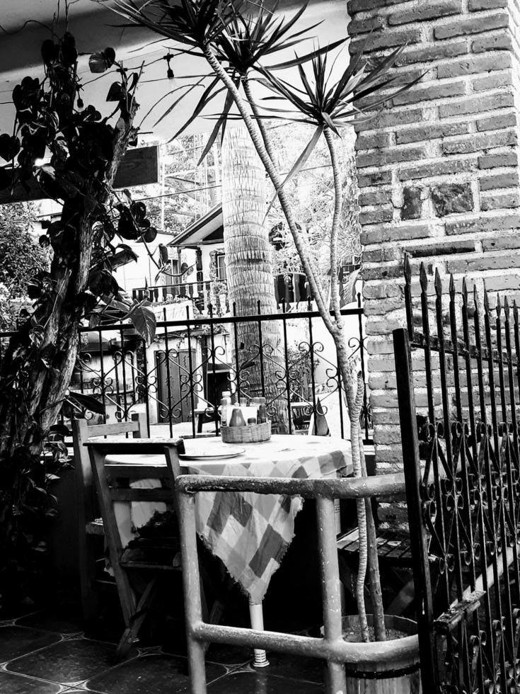 Tropical Cute Cafe photo