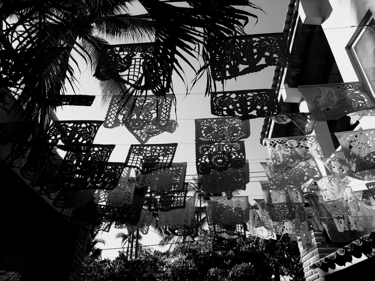 Mexican Banner Tropical Skyline photo