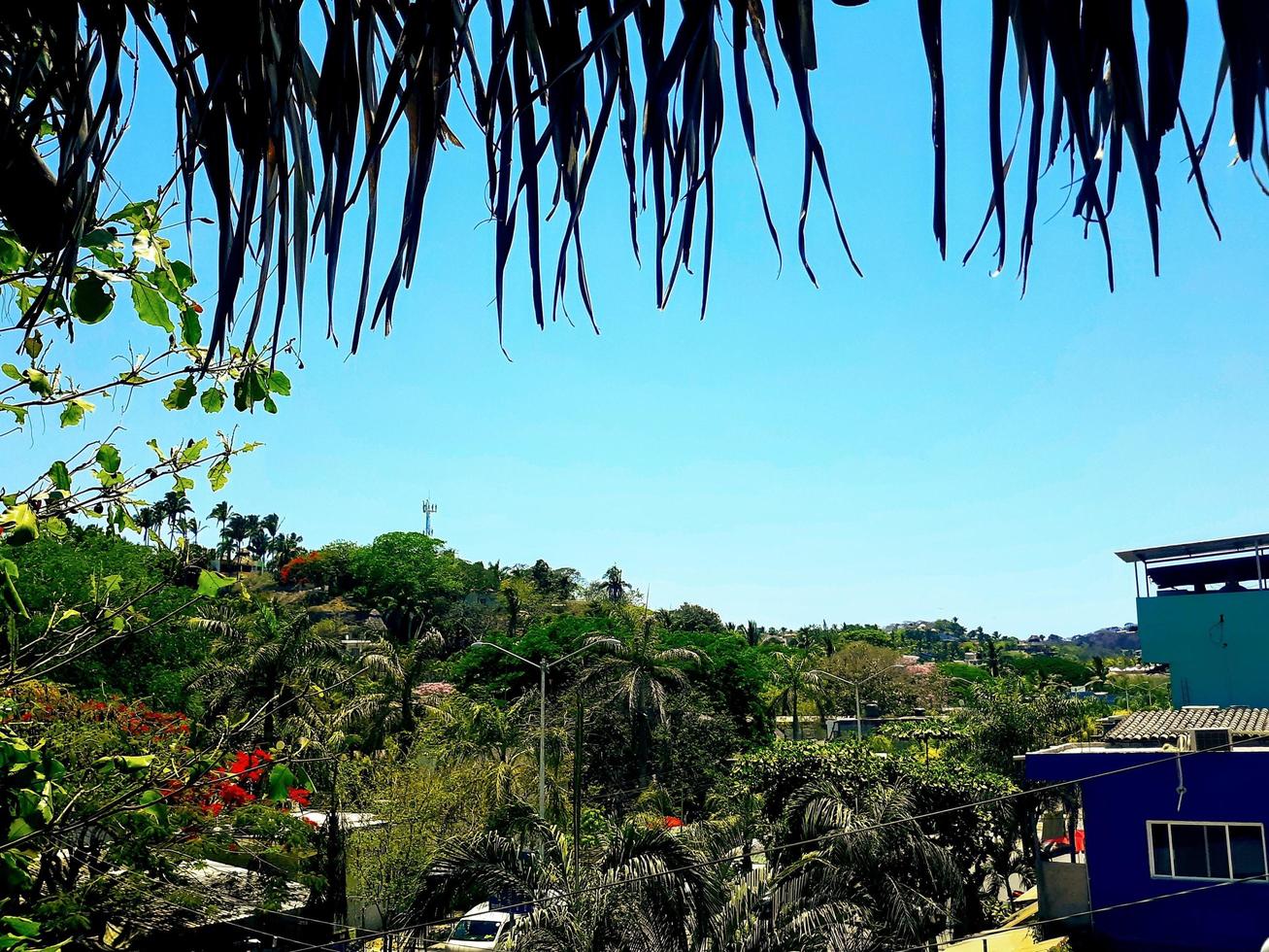 Tropical Sayulita Skyline photo