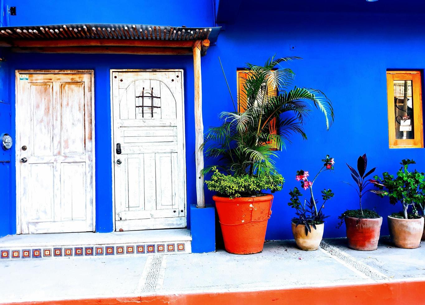 Tropical Streetscape Scenes photo