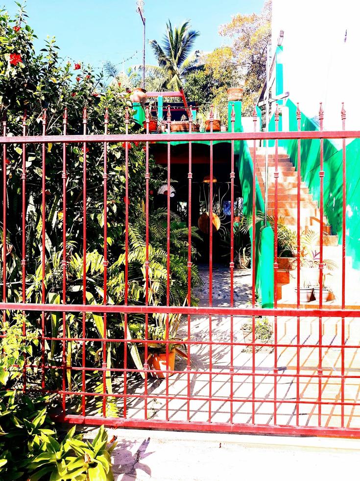 Orange Tropical Gate photo