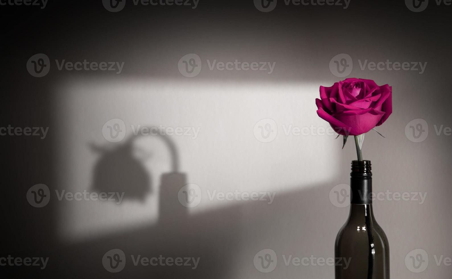 Lonely and Sadness Feeling. Mental Health in Relationship Concept. Pink Rose Flower Shading Shadow on the Wall. Symbol of  Love and Valentines Day photo