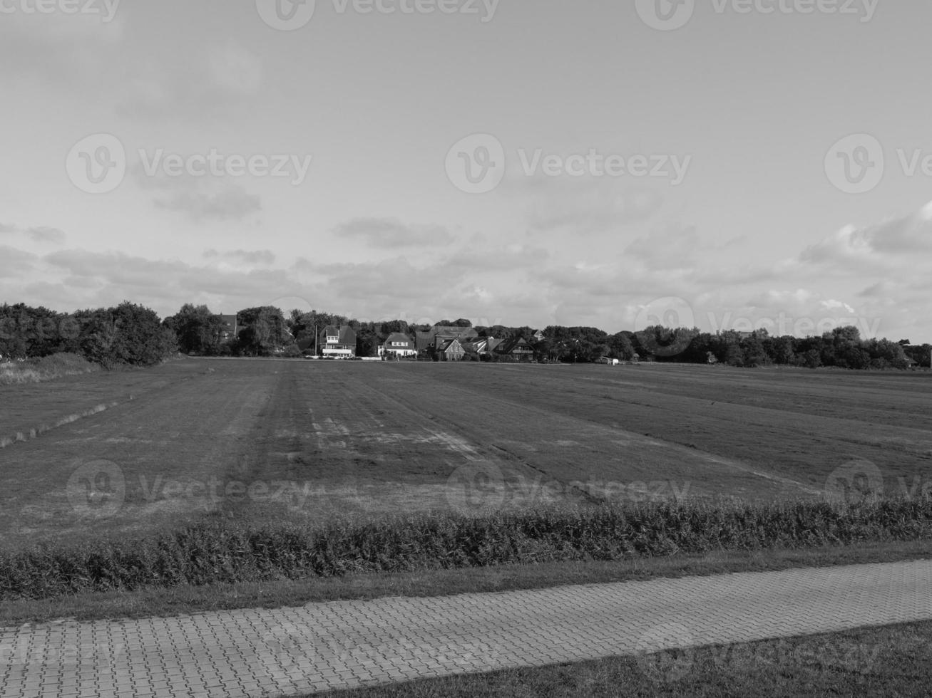 la isla de spiekeroog foto