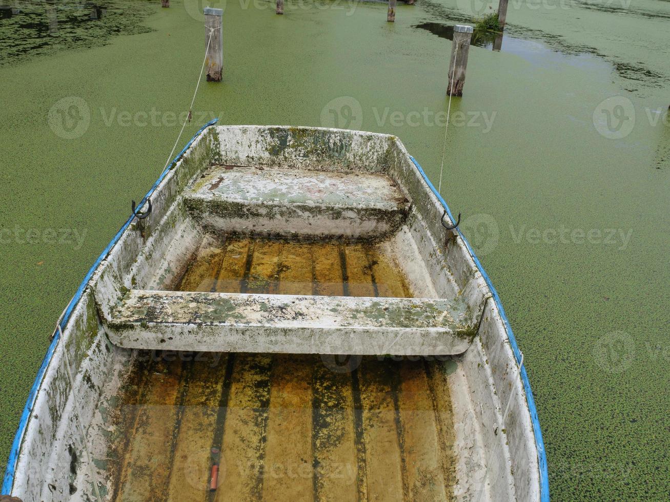 Lake near Borken in westphalia photo