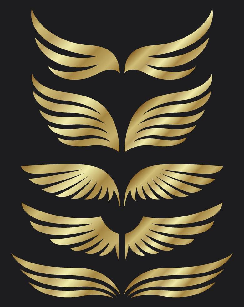 Golden wings collection on dark background vector