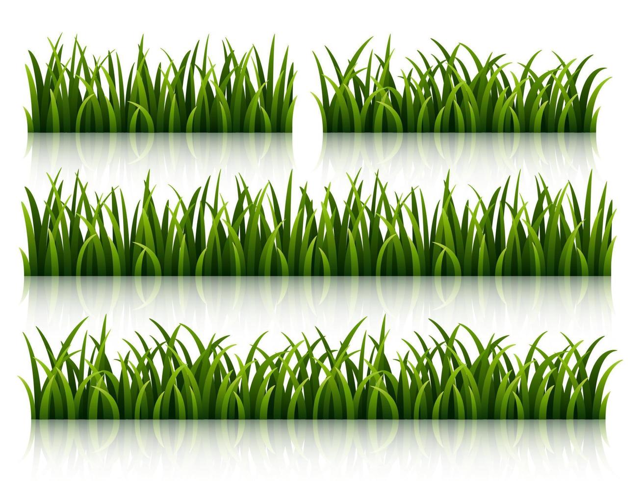 conjunto de hierba verde aislado sobre fondo blanco vector