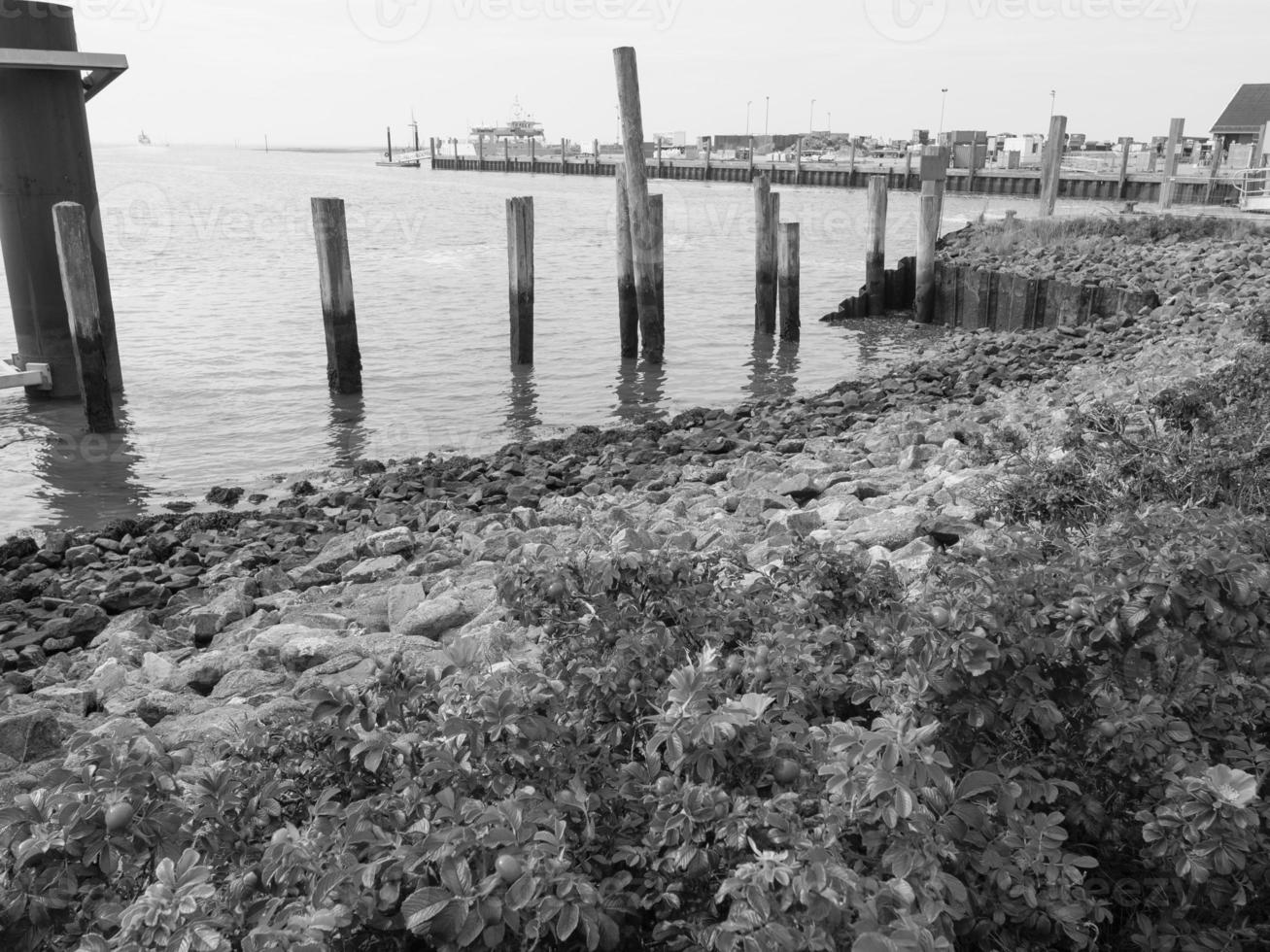 the german island Spiekeroog photo