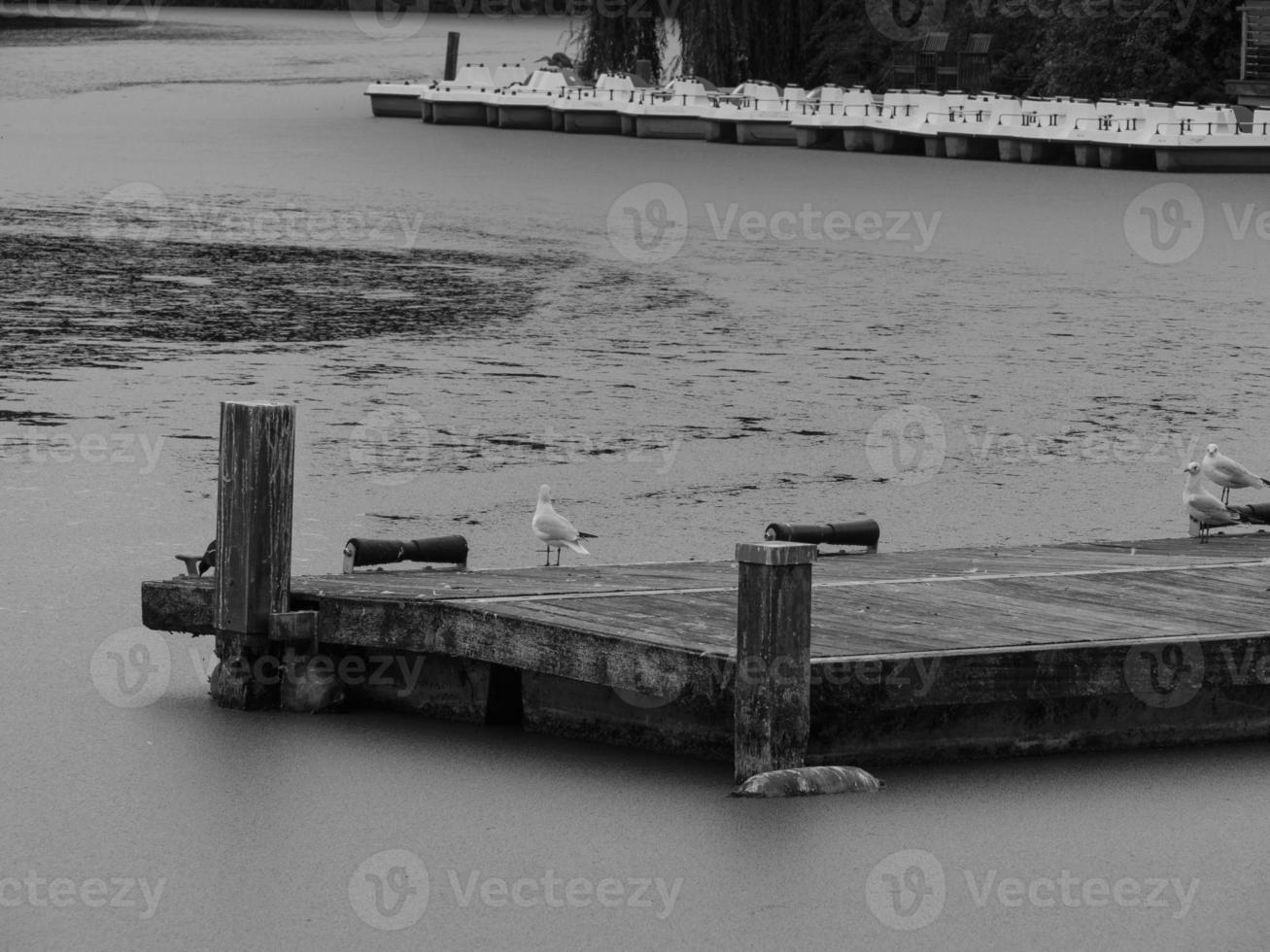 lake near borken in germany photo