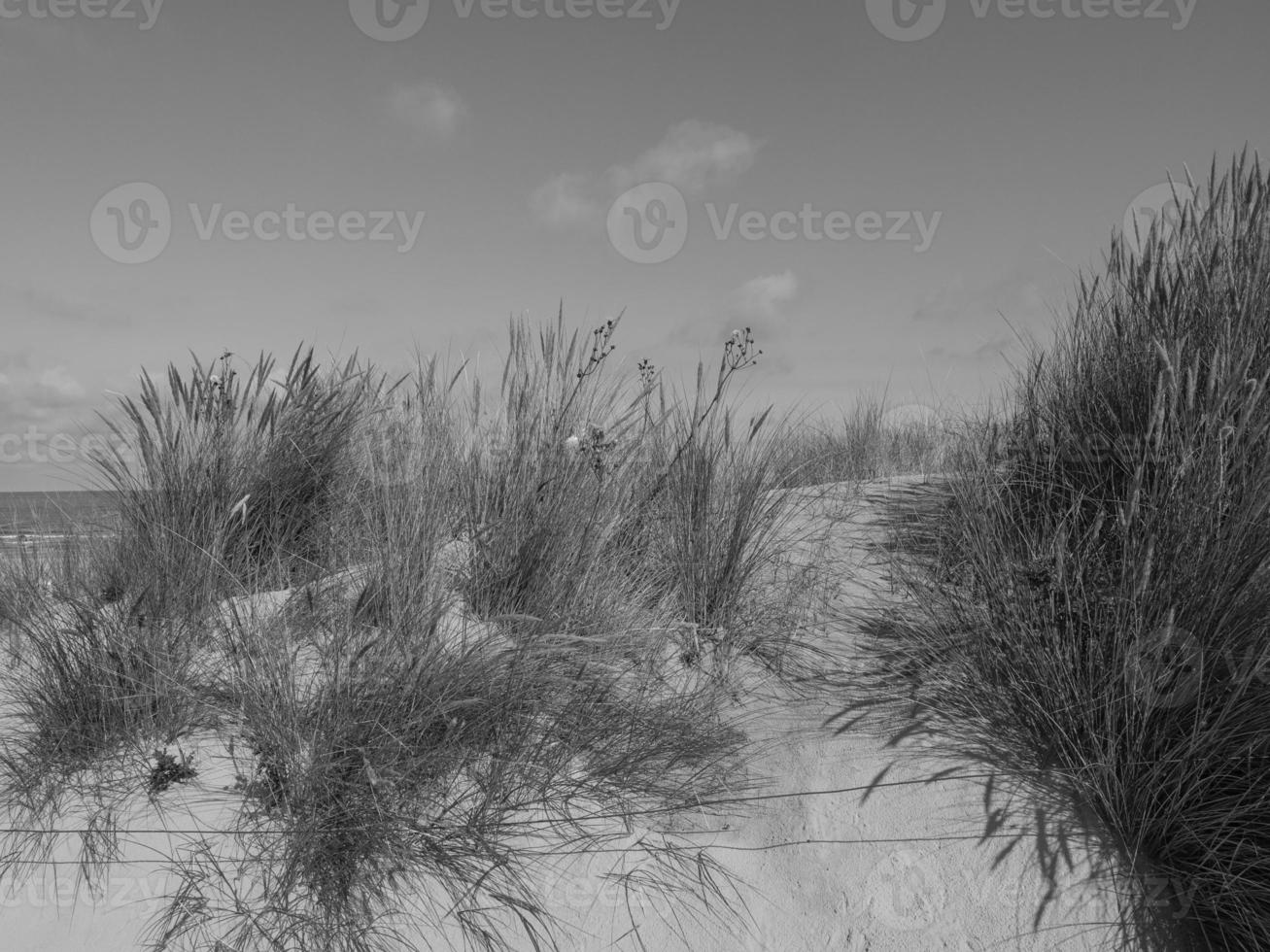 the german island Spiekeroog photo