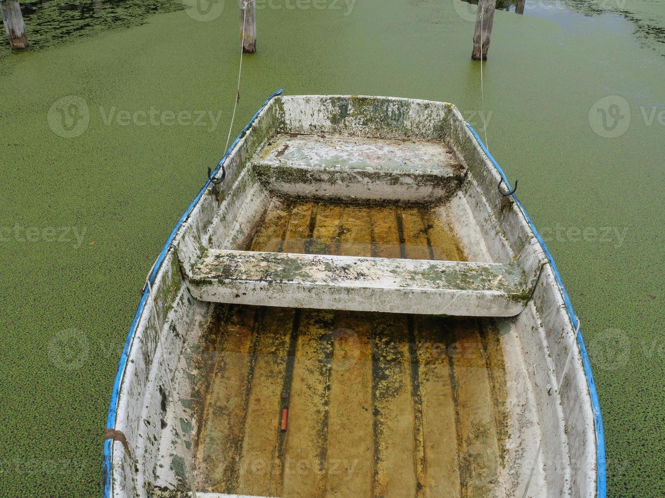 lago cerca de borken en westfalia foto