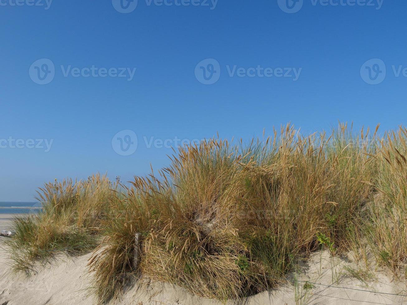 the island of Spiekeroog photo