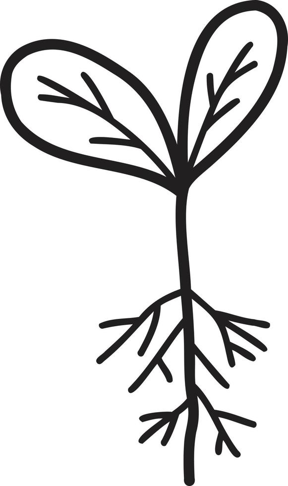 Hand Drawn young plant illustration vector