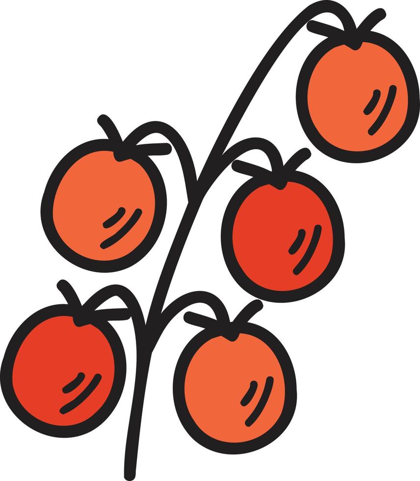 dibujado a mano manojo de ilustración de tomates vector