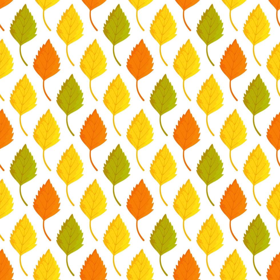 ilustración vectorial del patrón de hojas de abedul. hermoso fondo plano. vector