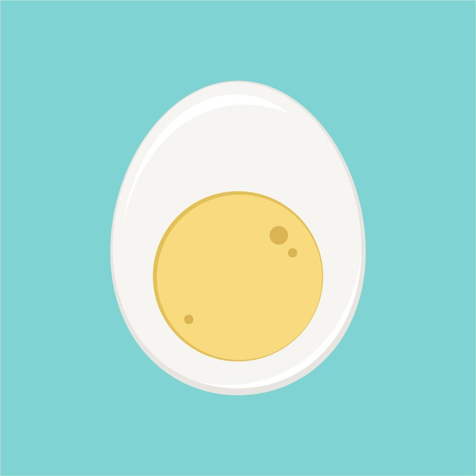 Hard boiled half sliced egg vector illustration