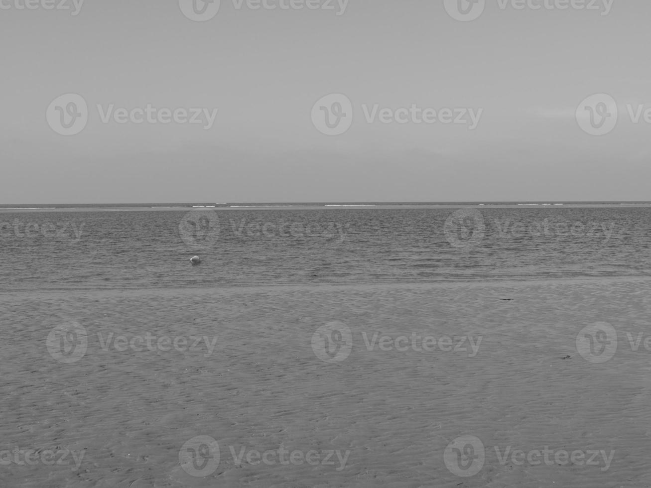 spiekeroog island in the north sea photo
