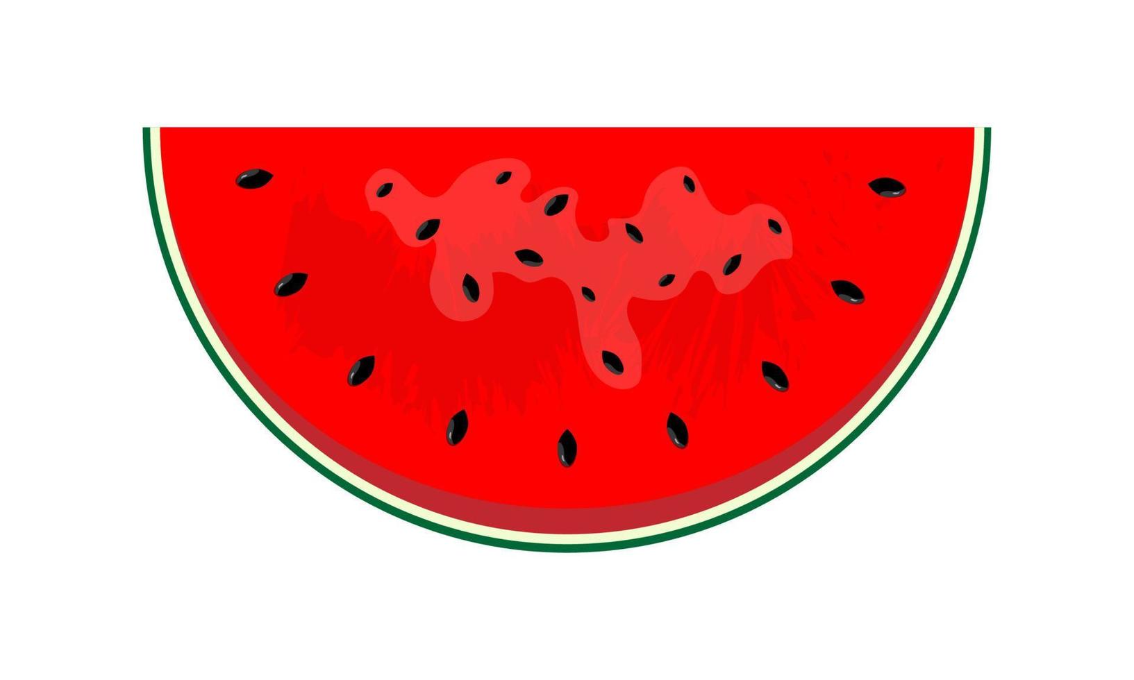 Watermelon slice with seeds. Delicious and sweet summer fruit isolated on white background. Fresh food vector