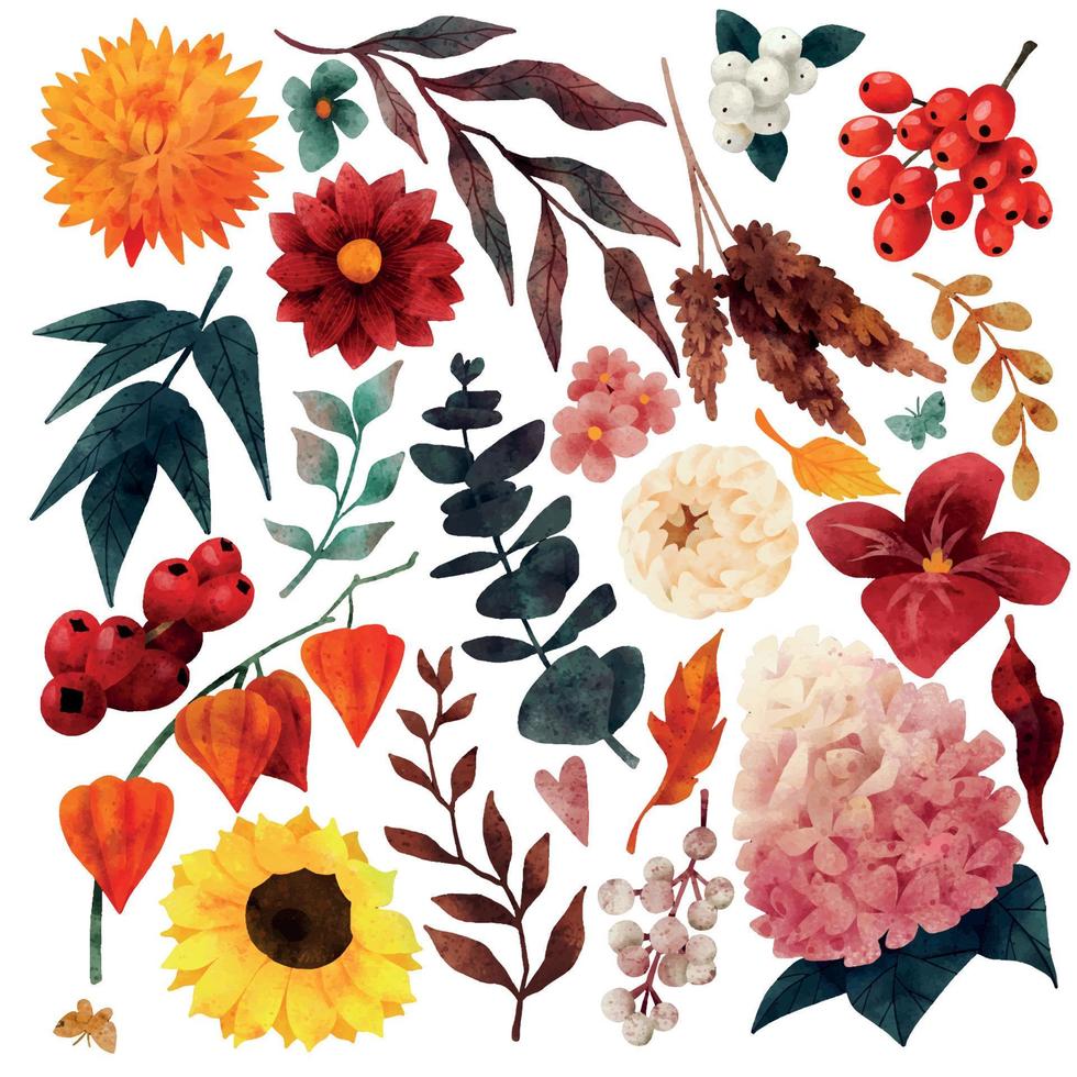 Autumn floral elements, fall garden, hand drawn vector watercolor illustration