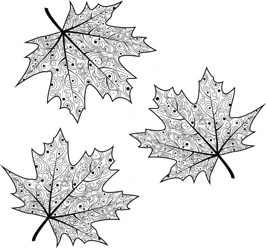 Black and white vector illustration of maple leaves. Autumn illustration.The idea of fashion illustrations, magazines, printing on clothes, coloring books, advertising, tattoo sketch or mehendi.