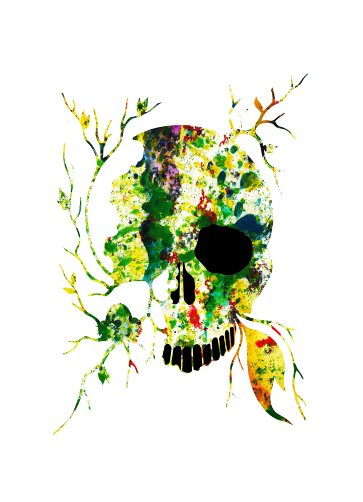 Art abstract mix surreal skull. Hand painting and make graphic. png