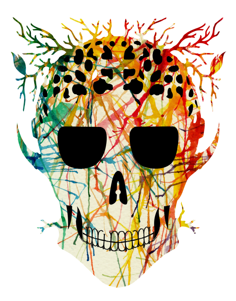 Art abstract skull.Hand painting and make graphic. png